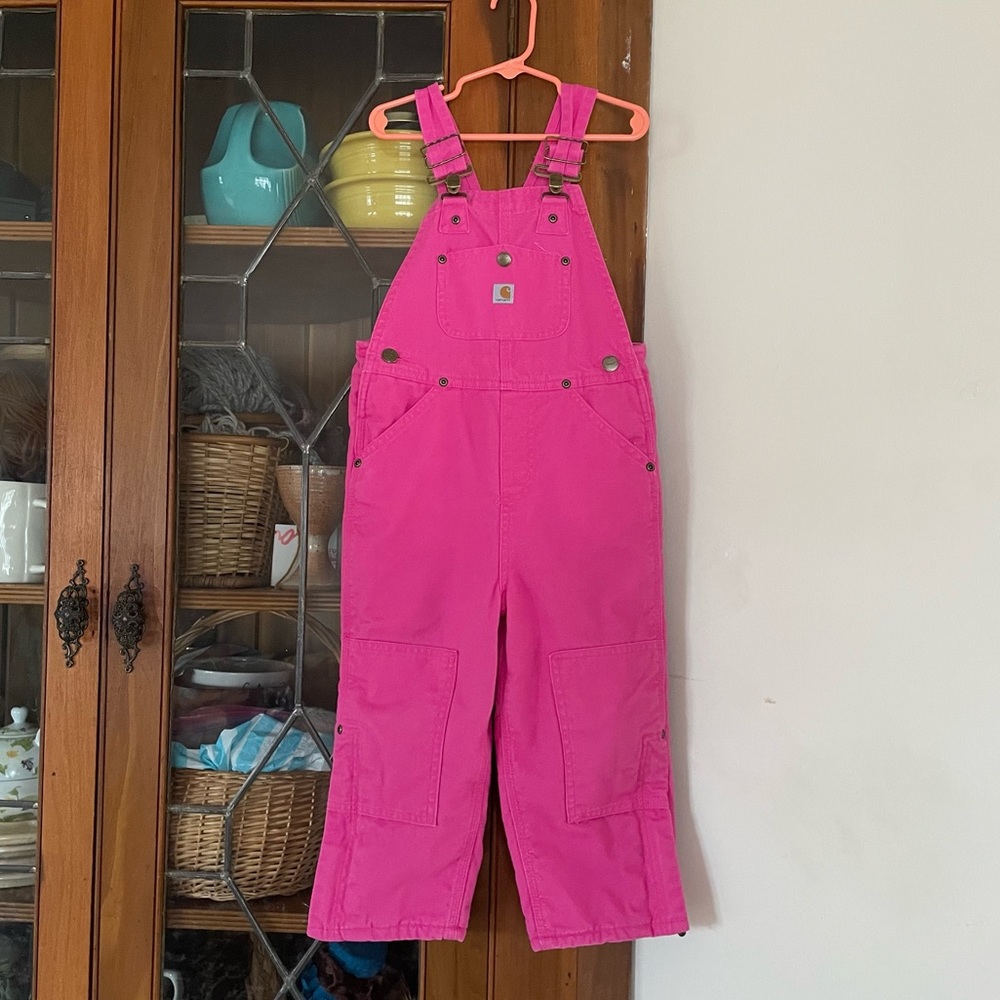 CARHARTT INSULATED BIBS
